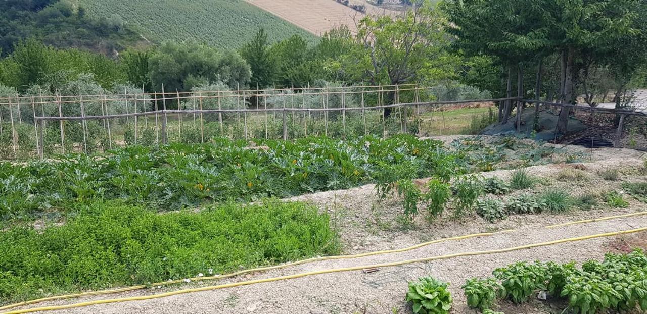 פרמו Agriturismo Fiore Di Campo מראה חיצוני תמונה